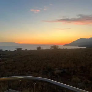 https://noahs-home.albaniahotels.org